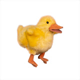 Gospel Light | Daffodil the Duck Puppet - Preschool & Pre-K/Kind Ages 2-5 | Year A