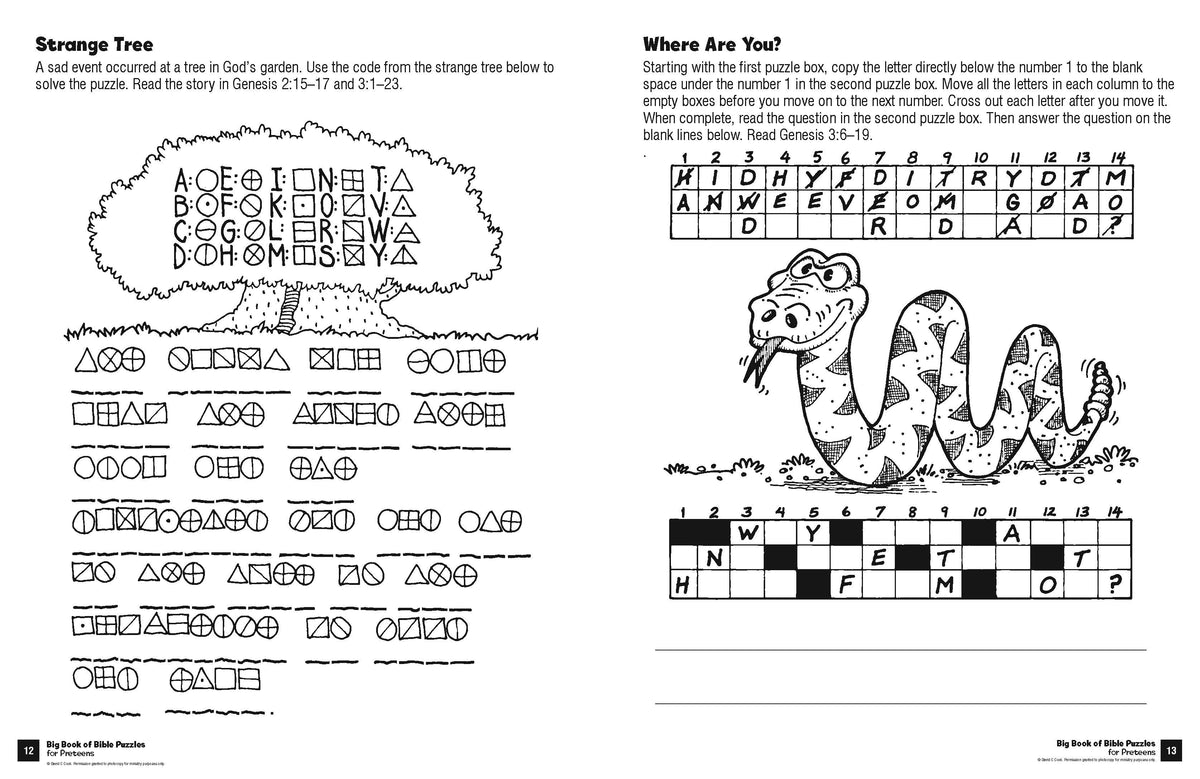 Big Book of Bible Puzzles for Preteens – David C Cook