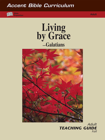Accent Adult Bible Curriculum Sample