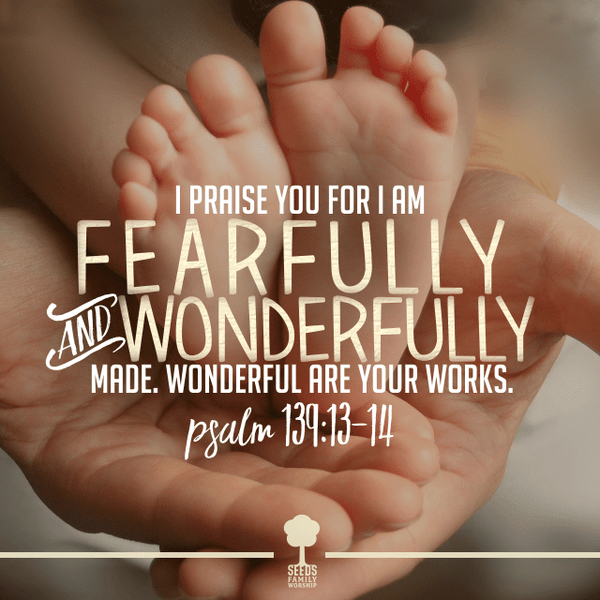 Peaceful Lullaby Music Video - Seeds Family Worship