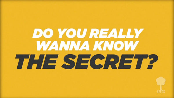 The Secret Music Video - Seeds Family Worship