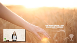 The Word of the Lord Music Video - Seeds Family Worship