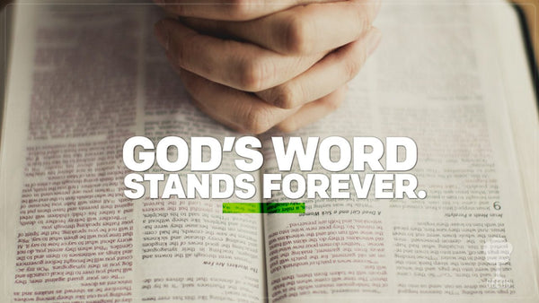 The Word of the Lord Music Video - Seeds Family Worship