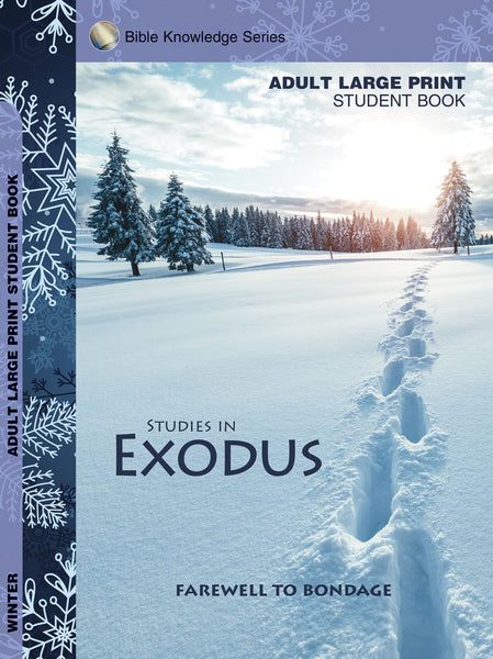 Accent | Adult Large Print Student Guide | Winter 2023-2024