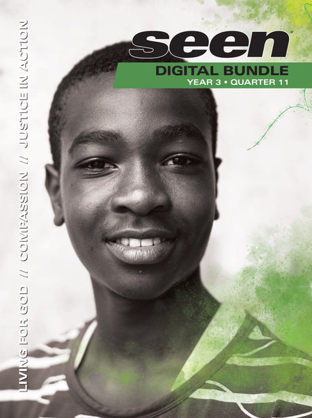 SEEN | Classroom Digital Bundle | Year 3 Quarter 11