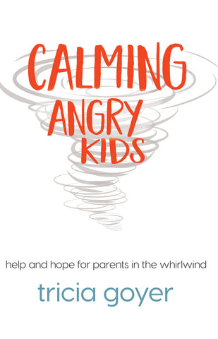 Calming Angry Kids: Help and Hope for Parents in the Whirlwind - Tricia Goyer | David C Cook