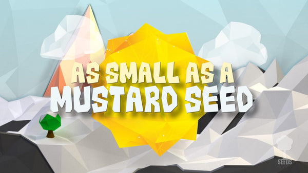 Mustard Seed Music Video - Seeds Family Worship