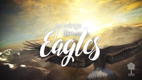 Soar Like Eagles Music Video - Seeds Family Worship