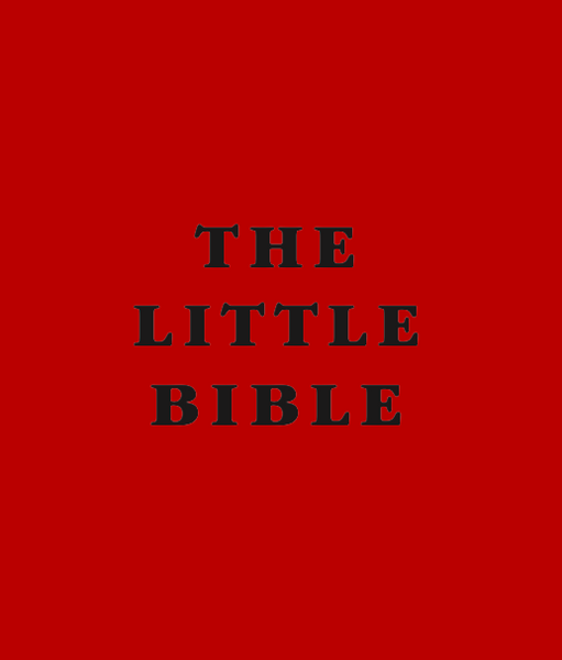 Little Bible 10-pack (red)