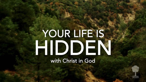 Your Life Is Hidden Music Video - Seeds Family Worship