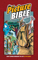 christian-books-the-picture-